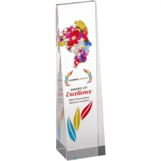 Hubris Award Branded